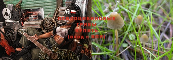 spice Гусь-Хрустальный