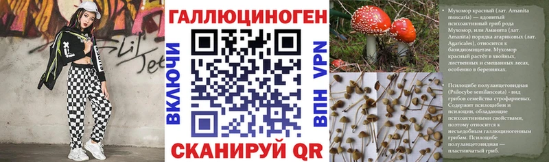 Псилоцибиновые грибы Psilocybe Биробиджан