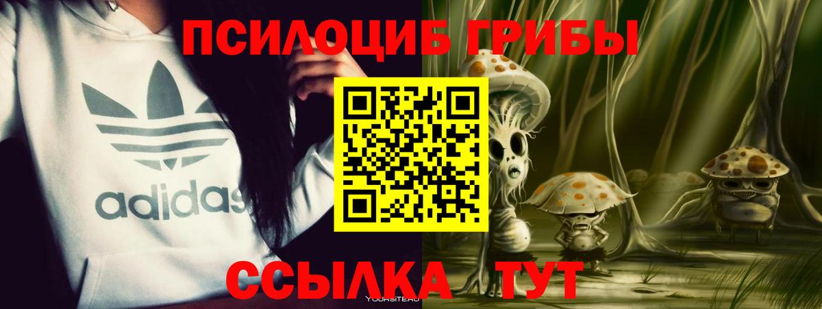 Биробиджан  Псилоцибиновые грибы Magic Shrooms  Вход с VPN 